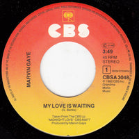 Marvin Gaye : My Love Is Waiting (7", Single)