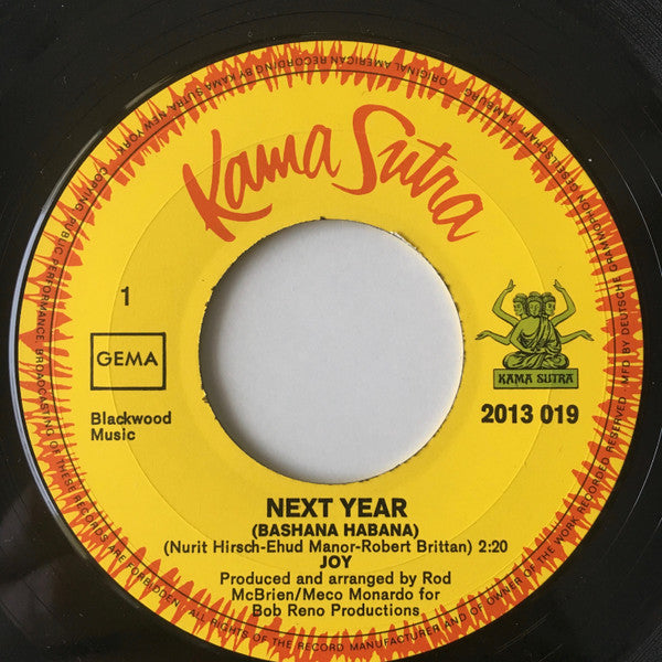 Joy (53) : Next Year / Two Different Things (7", Single)