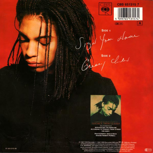 Terence Trent D'Arby : Sign Your Name (7", Single)