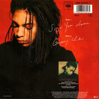 Terence Trent D'Arby : Sign Your Name (7", Single)