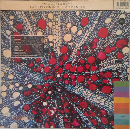 Orquesta Reve* : La Explosion Del Momento! (LP, Comp)