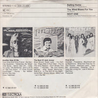 Next One : Sailing Home (7", Single)