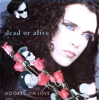 Dead Or Alive : Hooked On Love (7", Single)