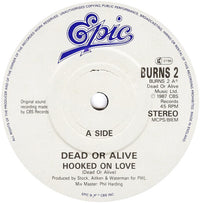 Dead Or Alive : Hooked On Love (7", Single)