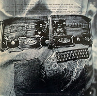 Neil Young : After The Gold Rush (LP, Album, RP, Gat)