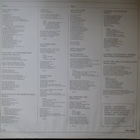 Bruce Woolley And The Camera Club : English Garden (LP, Album)
