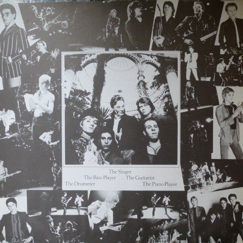 Bruce Woolley And The Camera Club : English Garden (LP, Album)
