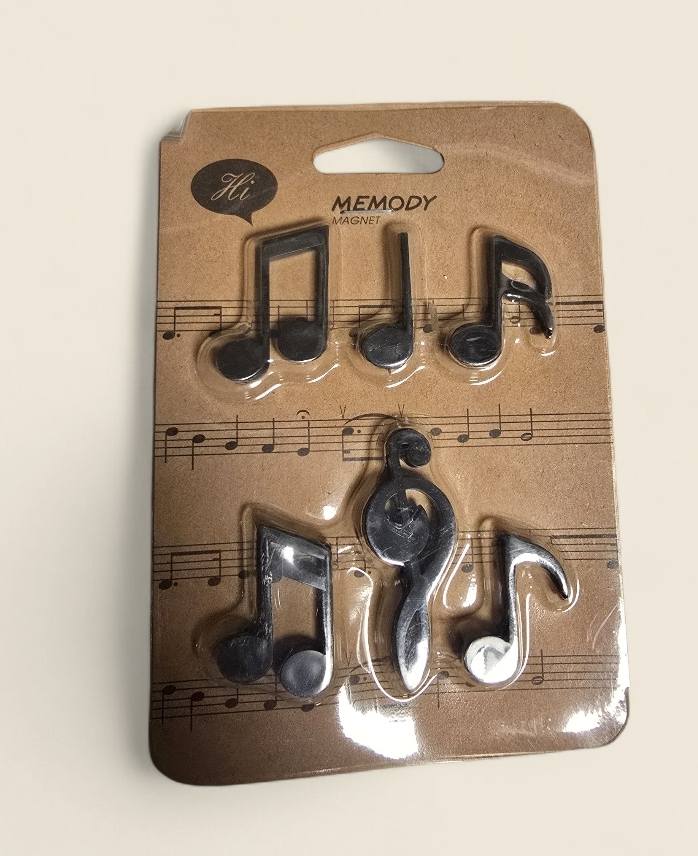 🎵 6 Muziekmagneetjes