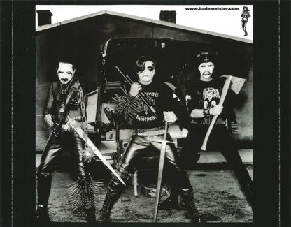 Die Ärzte : Wie Es Geht (CD, Maxi, Enh)