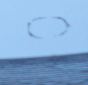 Paul McCartney & Wings* : Silly Love Songs (7", Single)