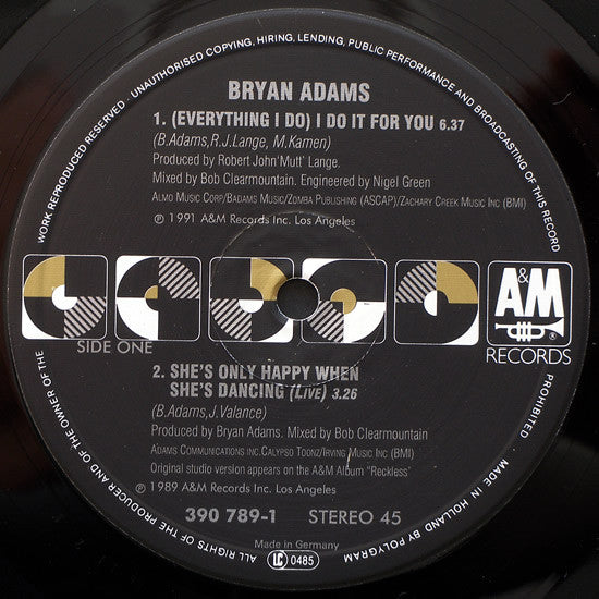 Bryan Adams : (Everything I Do) I Do It For You (12", Maxi)