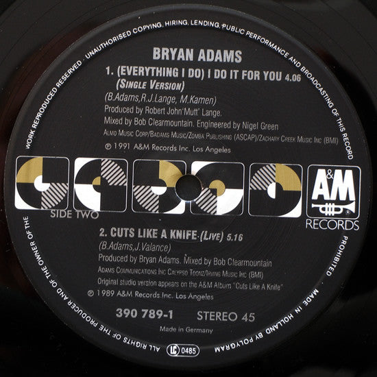 Bryan Adams : (Everything I Do) I Do It For You (12", Maxi)
