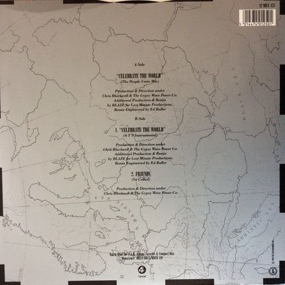 Womack & Womack : Celebrate The World (The People Unite Remix By Blaze) (12", Pic)
