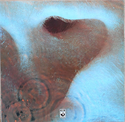 Pink Floyd : Meddle (LP, Album, RP, Gat)