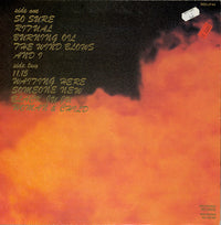 Skeletal Family : Burning Oil (LP, Album)
