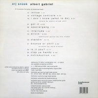 Arj Snoek : Albert Gabriel (2xLP, Album)
