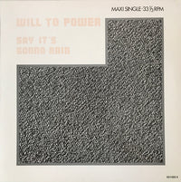 Will To Power : Say It's Gonna Rain (New Remixes) (12", Maxi)
