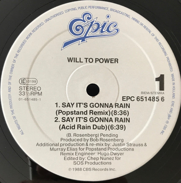 Will To Power : Say It's Gonna Rain (New Remixes) (12", Maxi)