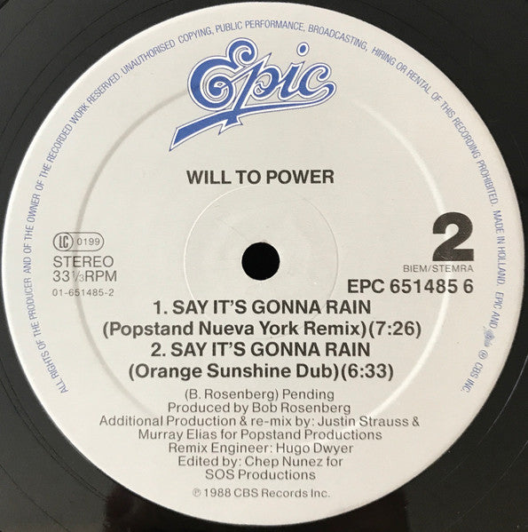 Will To Power : Say It's Gonna Rain (New Remixes) (12", Maxi)