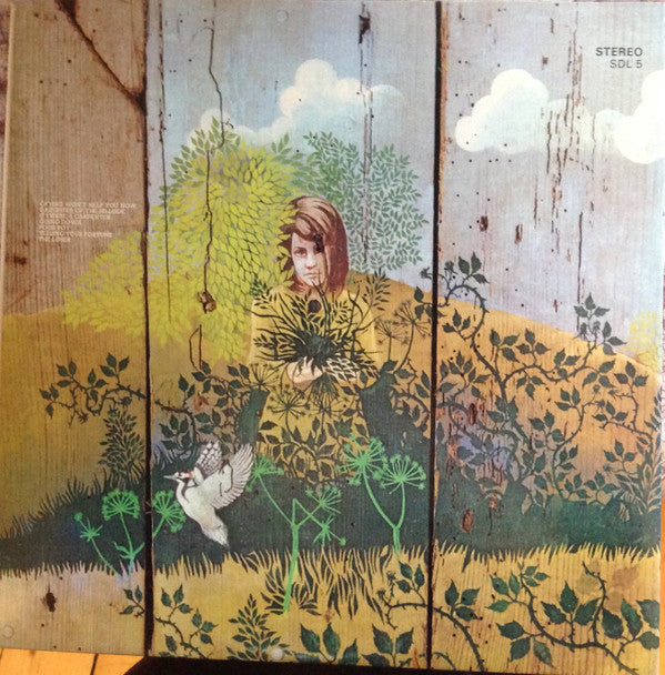 Chicken Shack : Imagination Lady (LP, Album, RP, Gat)