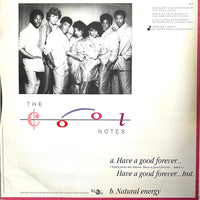 The Cool Notes : Have A Good Forever (12", Single)