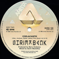 Shriekback : Fish Below The Ice (12", Single)