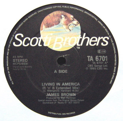 James Brown : Living In America (R 'n' B Extended Mix) (12", Single)