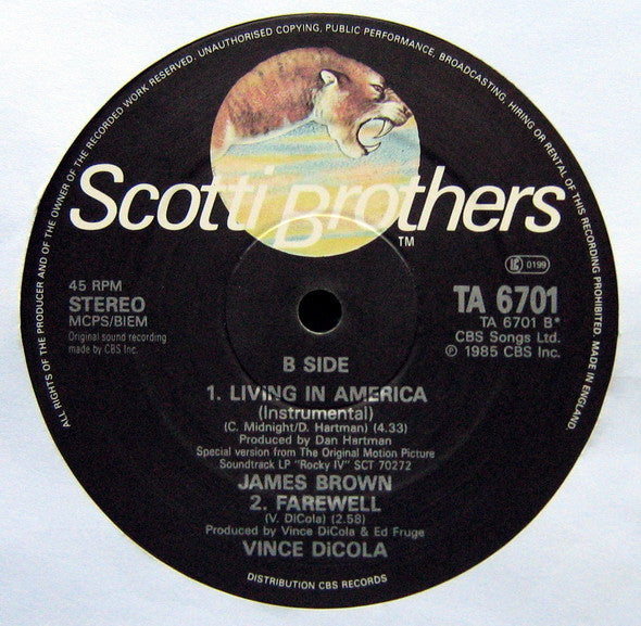 James Brown : Living In America (R 'n' B Extended Mix) (12", Single)