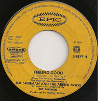 Joe Sherman & The Arena Brass : Feeling Good (7")