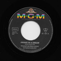 The Giant Jellybean Copout : Awake In A Dream (7", Single)