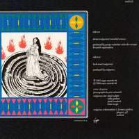 Endgames : Desire (12", Single, Ltd)