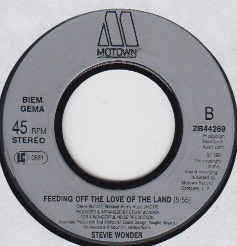 Stevie Wonder : Gotta Have You (7")