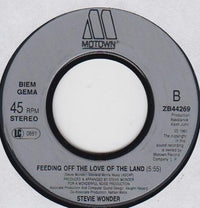 Stevie Wonder : Gotta Have You (7")