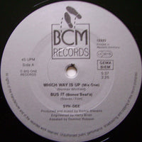 Syndee : Which Way Is Up (The 12" Mixes) (12")