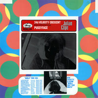 Julian Cope : The Greatness And Perfection Of Love (Remix) (12")