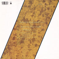 Bryan Ferry : ...Is Your Love Strong Enough? (12", Single)