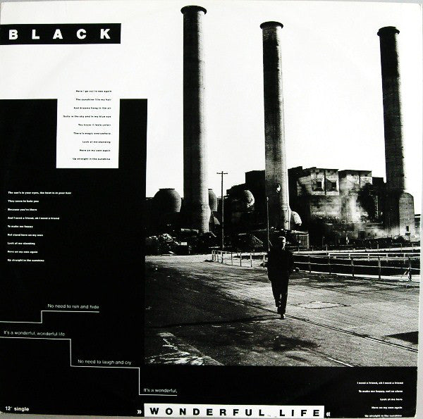 Black (2) : Wonderful Life (12", Single)