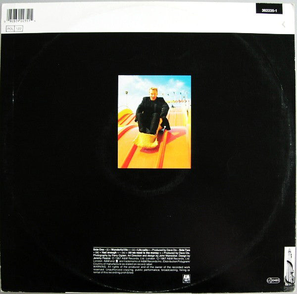 Black (2) : Wonderful Life (12", Single)