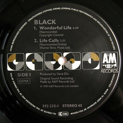 Black (2) : Wonderful Life (12", Single)