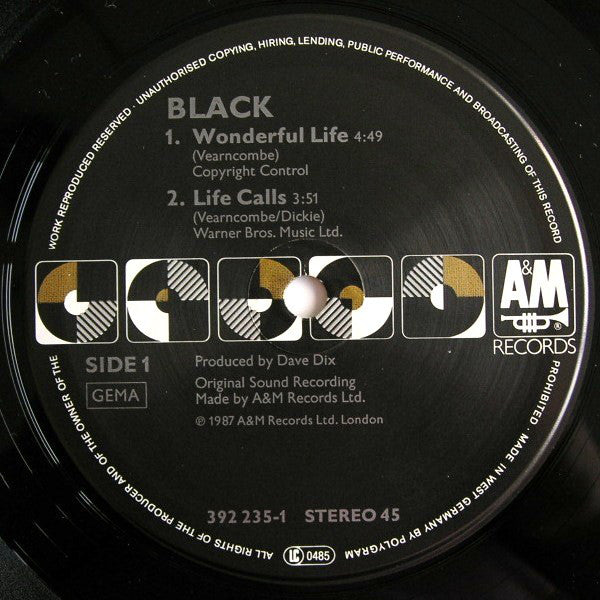 Black (2) : Wonderful Life (12", Single)