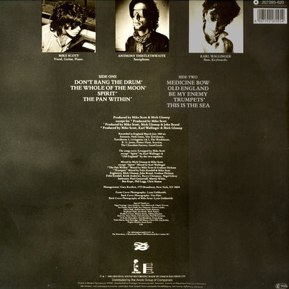 The Waterboys : This Is The Sea (LP, Album)
