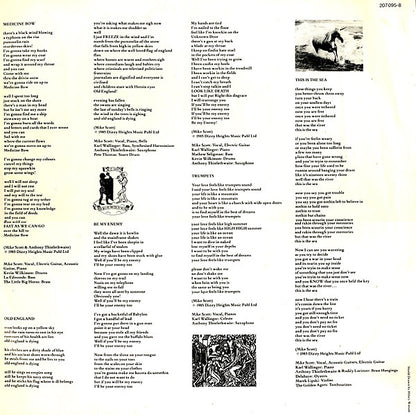 The Waterboys : This Is The Sea (LP, Album)