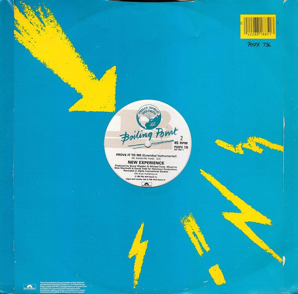 New Experience : Prove It To Me (Extended Version) (12")