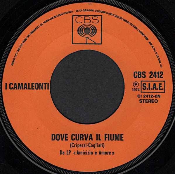 I Camaleonti : Il Campo Delle Fragole (7", Single)