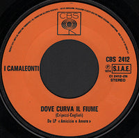 I Camaleonti : Il Campo Delle Fragole (7", Single)
