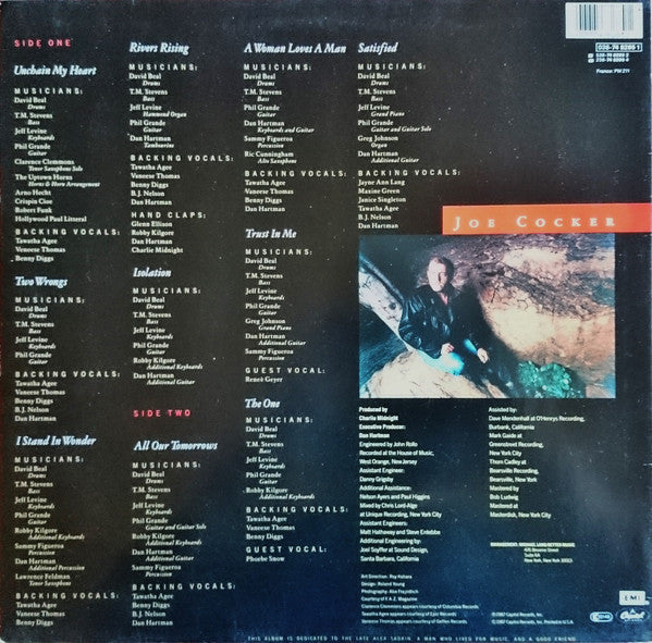 Joe Cocker : Unchain My Heart (LP, Album)