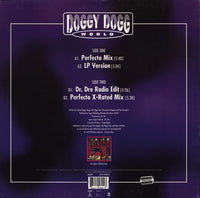 Snoop Doggy Dogg* : Doggy Dogg World (12", Single)