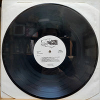 Trek With Quintronic : Landing (LP)