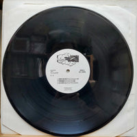 Trek With Quintronic : Landing (LP)