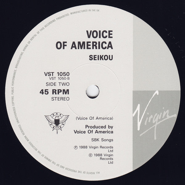 Voice Of America : I Will Tell (12")